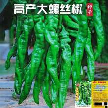 ƷNݽzN߮aһļϱļ߲