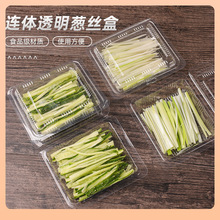 ?���������[�z������S�ϗl��ƬƤ�����������u�Ϻ��߲�С����