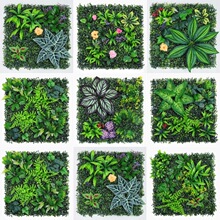 50*50mֲ҃ȲƺbGֲ쾰滨