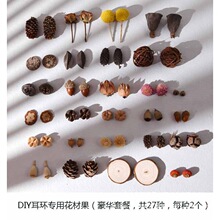 植物耳环天然干果南瓜耳饰材料个性创意小众首饰耳钉配件果子其它