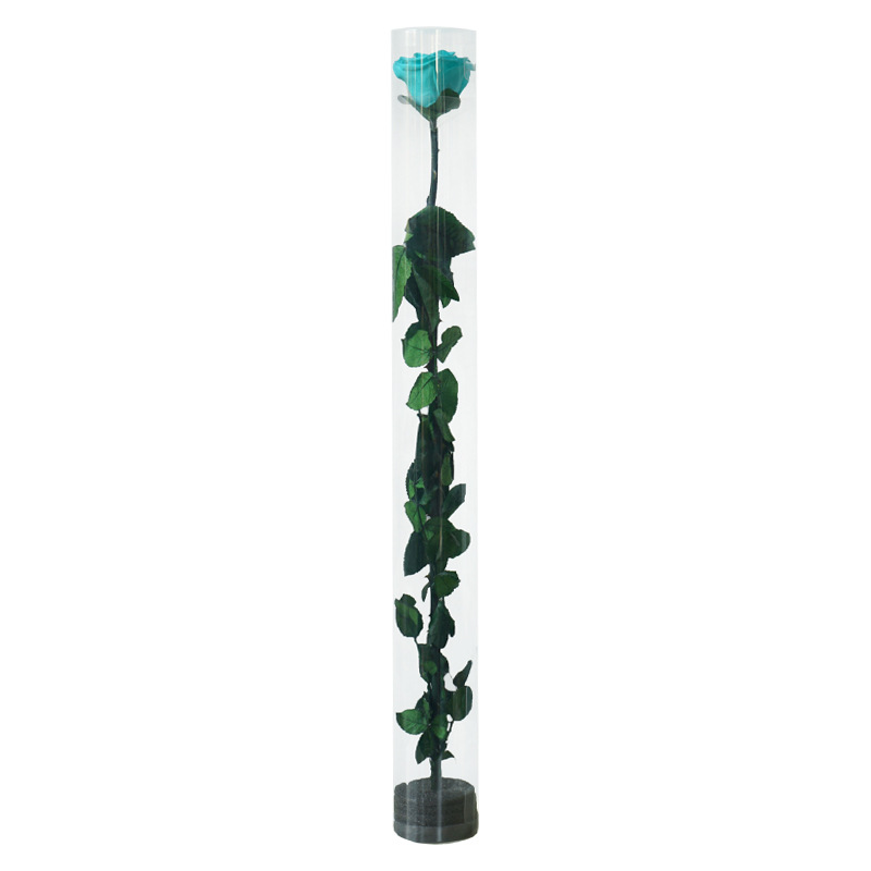 Naxi reina flor eterna tubo de ensayo ramo planta espécimen Qixi enviar novia transfronteriza Amazon adornos de suministro directo