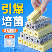 yee݃ˮ^VʯӢմhht~^VV