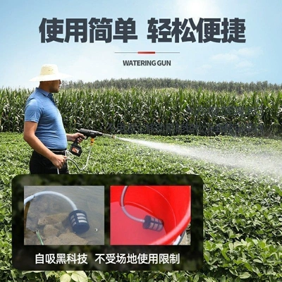 Wireless Car Washers, High-Pressure Water Guns, Car washing machine