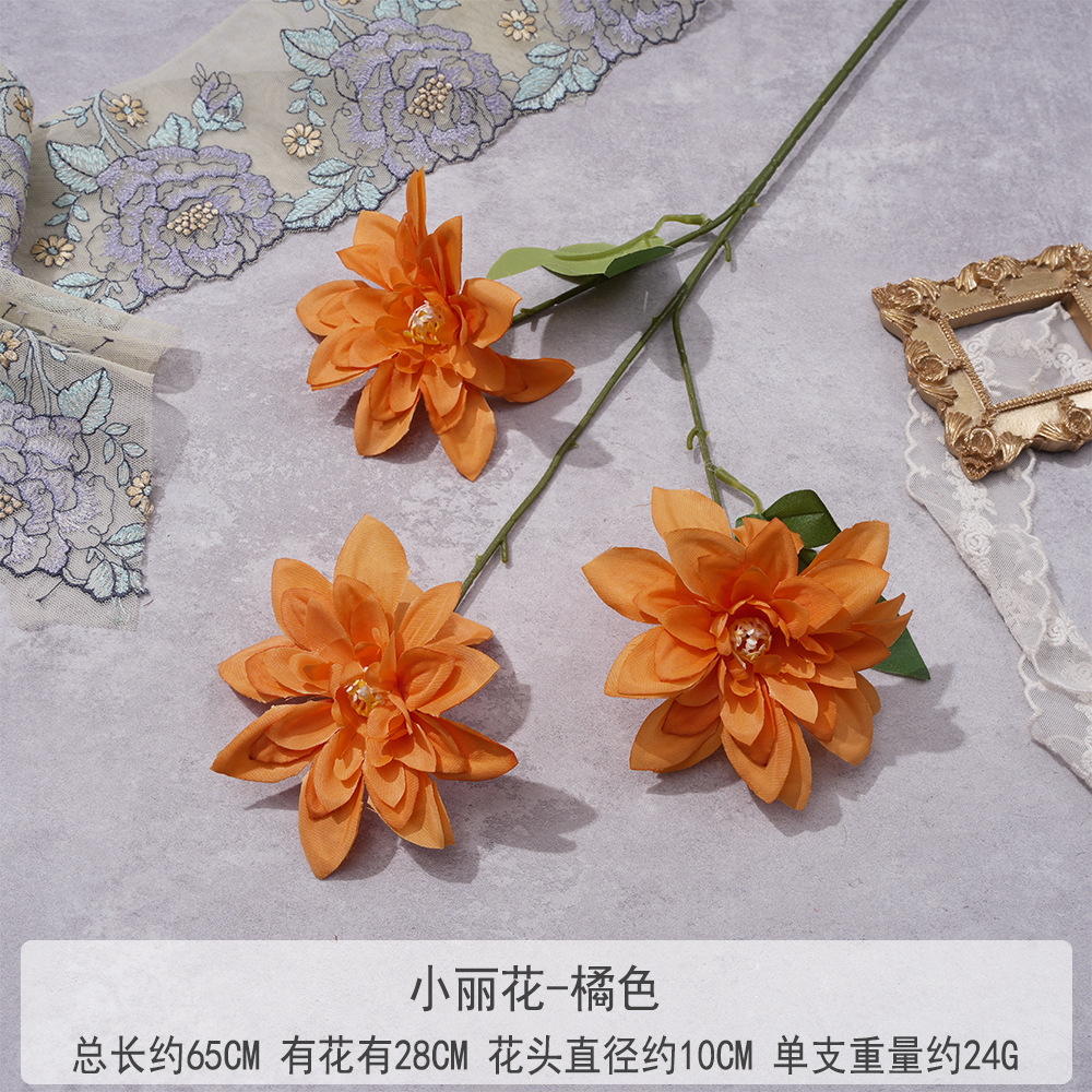 Y-Xiaolihua-오렌지