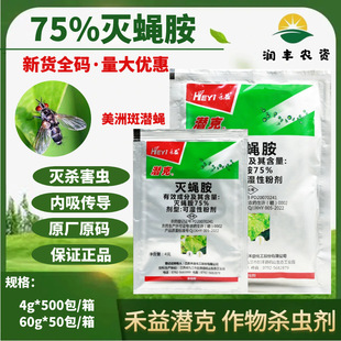 �������� ���� 75%��ω�� �ɝ��Էۄ��S�����ްߝ�ω�rș���x��