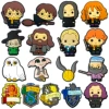 Harry Potter Type A Set (17 pieces)
