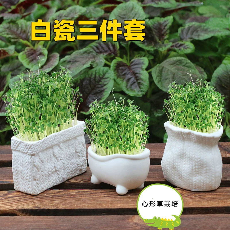 Белый фарфоровый набор из трех предметов Qiaoya zakka, свежий и простой настольный набор в форме сердца для выращивания травы, детский креативный подарок, горшечное растение