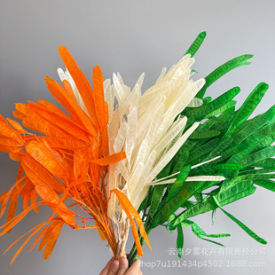 �������ⶹ�������㶹�v�ɻ��滨�Ҿ��b廨�Ĕz���߹��c�b�