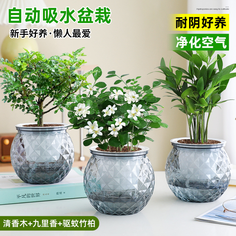 [모기퇴치 패키지] 향나무 + 구리향 + 모기퇴치대나무와 편백나무