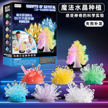 ��ͯ�ֹ�ħ���}�Q�����L�Y���ƌWС���ƽ�diy�Nֲˮ��������b