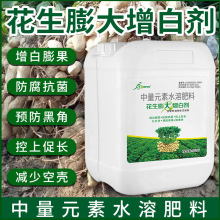 正品花生专用促下控上花生快速膨果增大增白水溶肥料花生膨大增白