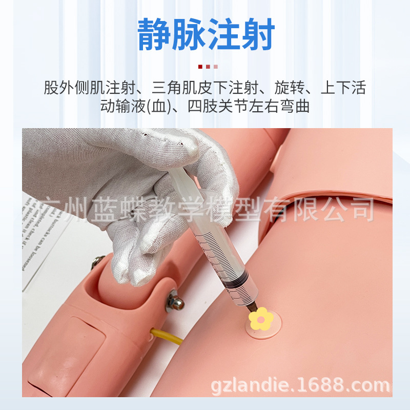 ҽѧģ����ģ�Ͷ๦�ܻ�������ģ�ػ�����ѵ������Ƥ�����ķθ���