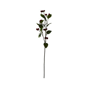 2025�¿�������Gֲ�҃����쾰�^ֲ���֧���Gֲ�b� ���l