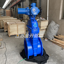 _˹ _PīTFܛܷ늄lyZ945X-10Q DN400