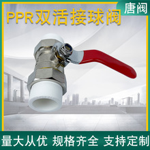 厂家直供全黄铜PPR双活接铜球阀 家装水管管件PPR阀门球阀可批发