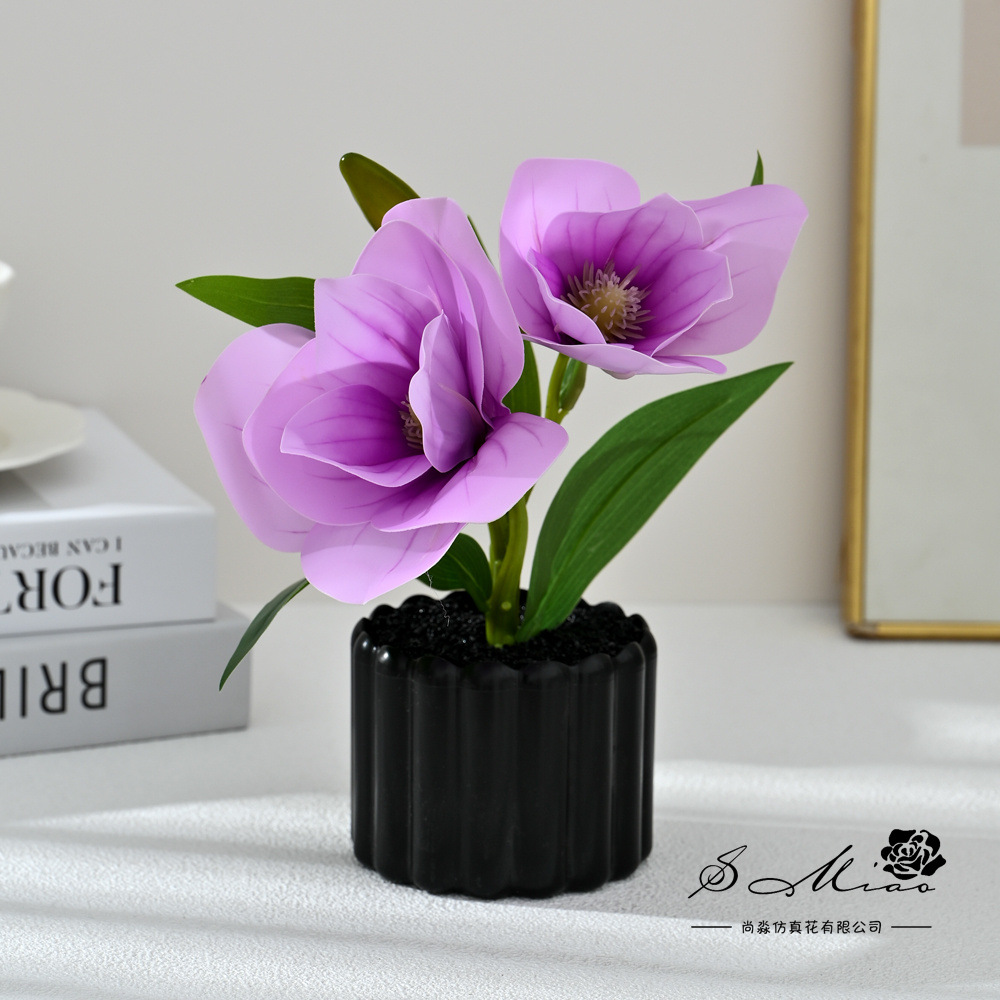 Dos dientes cinco flores sensación de mano pequeña orquídea mariposa imitación bonsai flores falsas decoración del hogar fotografía flores artificiales flores de boda image 3
