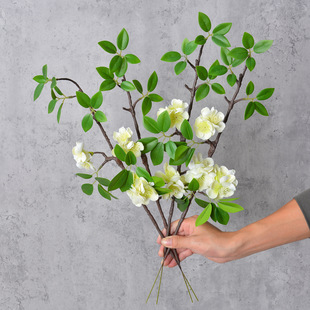 ���滨���Ļ�С���¼ٻ��bҾ�ܛ�b�����������Ä��⻨ˇ�[��