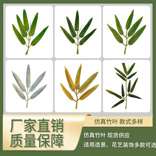 ���������~����֦���~�^�z��֦�Gɫ�������~���^�������w���~�b
