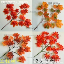 ��ͩ�~�~�Ӽ٘��~�����bGֲ�����~�^�z�＾�t�y���~���~������