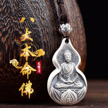 ʮ����Ф����������yS999������������y�����ӷ����t��ʿŮ��