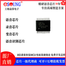 8λ��������оƬ WTV040-20SS ���Լ۱�����MCU Դͷ����ֱ��