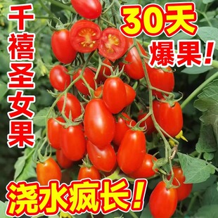 ǧ���}Ů�����������԰���С����ˮ���߲�ֲ��N���ݷN���Ϸ��̨