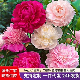 盆栽;园林果树;种子