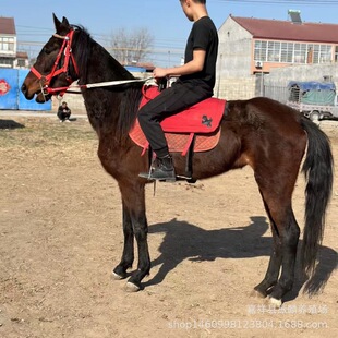 ���^���T�˴��R���w��Ѫ�R���� ���R Ӗ�õĜ�Ѫ�R ��܇�R �R�x