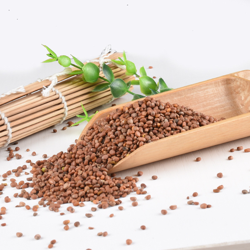 Radish Seed Lai Fu Zi 500g Dried Raphanus sativus Seeds for Decoction and Tea quality and texture