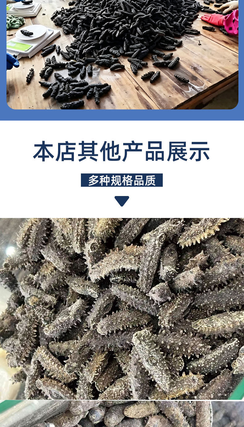 Dried Sea Cucumber Pure Lightly Dried Dalian Sea Cucumber Thick Flesh 50g specifications