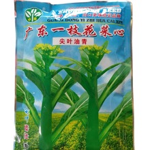 蔬菜种子批发200克广东一枝花尖叶油青花菜心种籽
