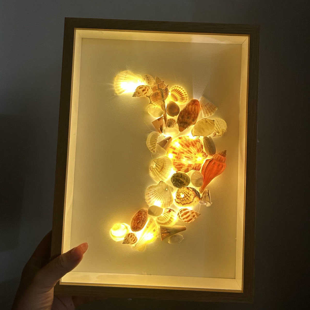 Shell Night Light Seashell Handmade DIY Shell Photo Frame Painting Creative Decor Ornament Hollow Photo Frame for Girls