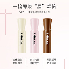 丽琳芝防水锁色雾感染眉膏自然立体防水持久显色服帖不晕厂家代发