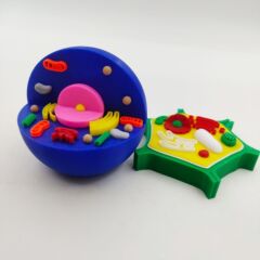 国境を越えた新製品 3D プリント動物および植物細胞モデル科学実験セット教育開発教育玩具