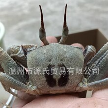 ���Ȍ���С�ͽ���ɳз���A�����з�ɐ��^�p��С�����������B