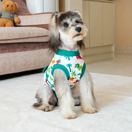 狗狗服装;宠物绝育服/生理裤;狗狗牵引