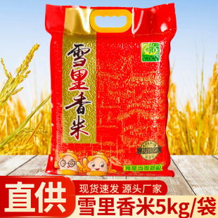 �������ז|���������l�Fُѩ�����׼��ô����������10����b