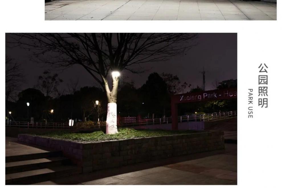 4884fb97-0a42-418b-b8b2-c8965a204927.jpe