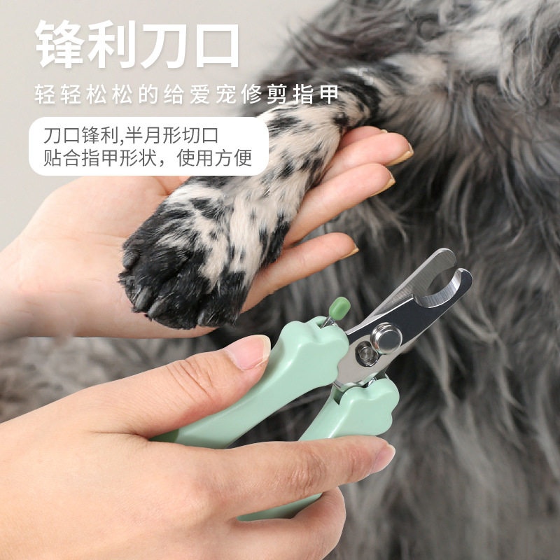Perro y mascota cortadores de uñas afilados pinzas de uñas limpias al por mayor productos de belleza gatos cortadores de uñas fuente fábrica en stock image 3