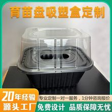 ���ƿ羳�����������͸���ͼӺ�����pet����Nֲ����P���ܰ��b