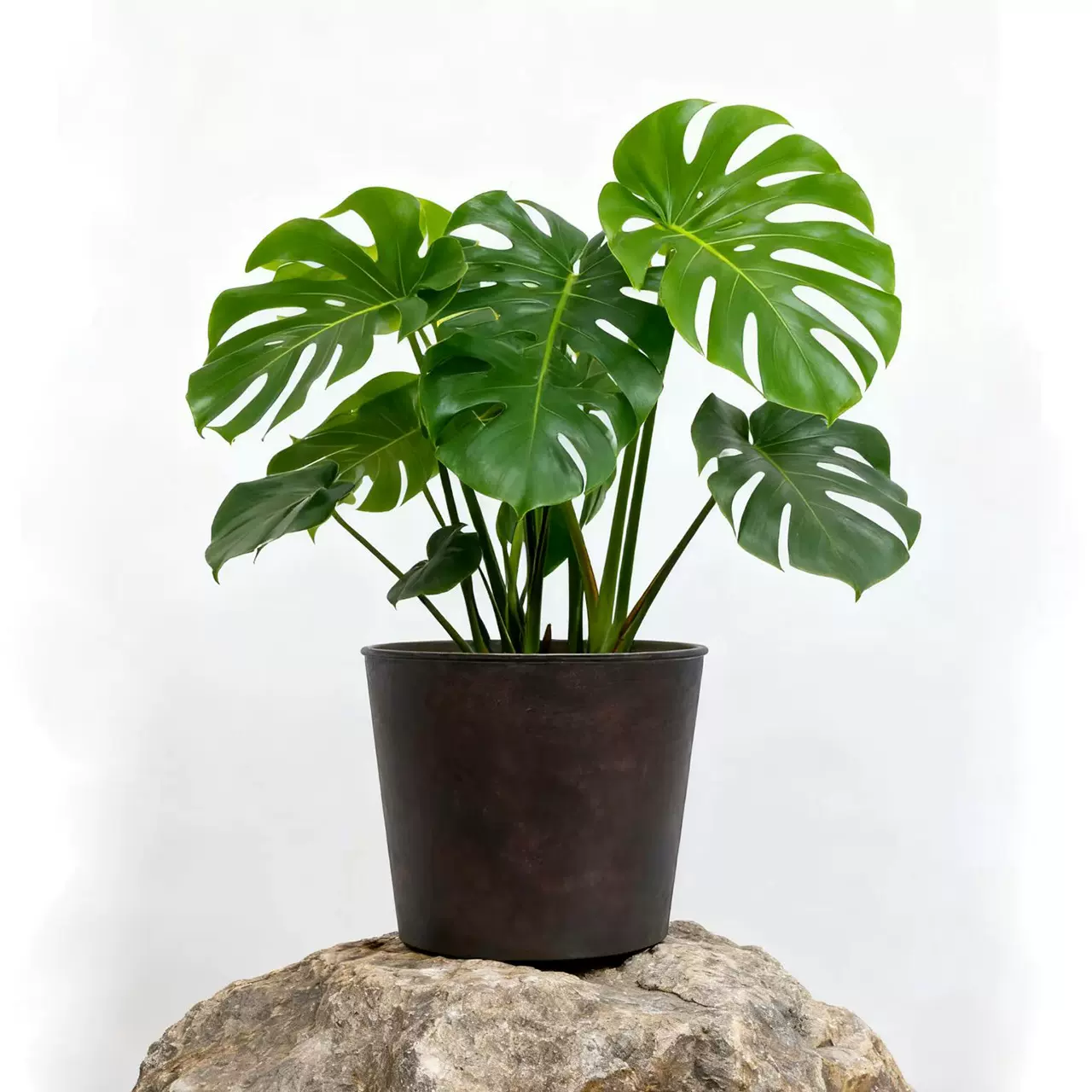 塑料复古花盆家用 绿萝植物盆栽加厚透气阳台客厅耐用种植桌面