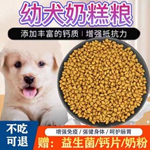 Ȯר̸⹷̩ϱȹ1-12СȮ̸ѷ
