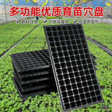 ��ݮ����Ѩ�P�߲����B���������Ѩ�P��ľ��ݮ�����������������