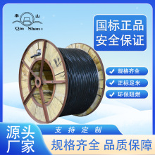 ��ɽ��|NH-YJV/NH-VV 6ƽ����о2о3о4о5о���˼��~�����|