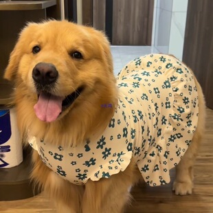 �����·������ë�����黨����ȹ�½q��Ͱ����＾����С�д���Ȯ