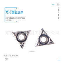 �����X��܇��Ƭ ���ǵ����� TCGT110204/TCGT090208-AK H01