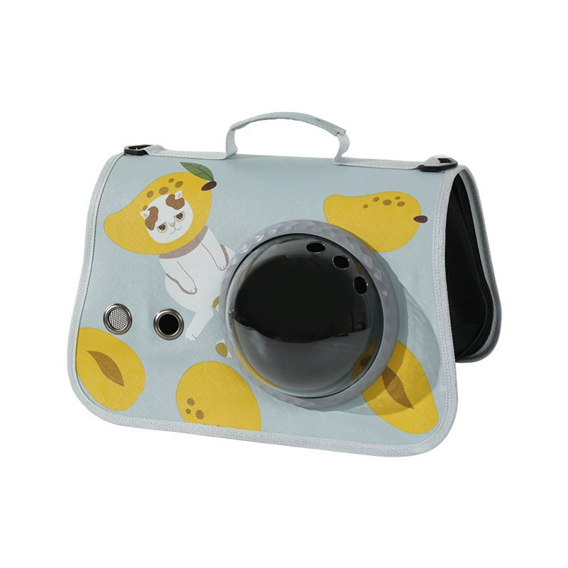 Handheld foldable backpack to go out, big polyurethane breathable universal space shoulder bag