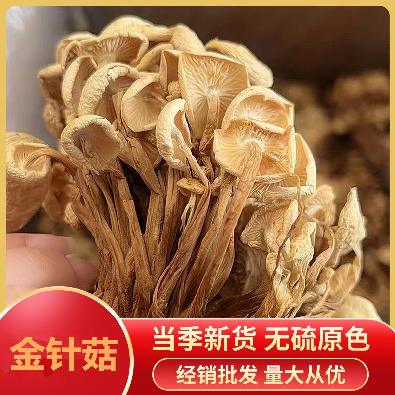 2025 NEW STOCK BULK DRIED GOLDFIRE MUSHROOM EDIBLE FUNGUS JIANGHU EXHIBITION STREET VENDOR PRODUCT DRIED GOLDFIRE MUSHROOM
