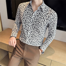 FW10916 2025��Ʒ�������в����廨�����г�����Ƹв��������