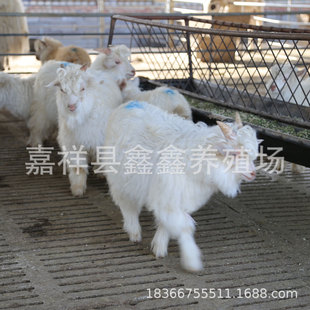 �H�Ә��@�^�p�򿨌����� �Bֳ�����۽qɽ����w ���B������r��